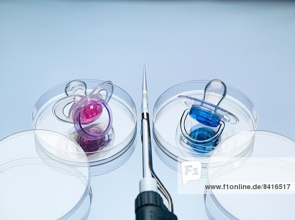 Zwei Babyschnuller in Petrischalen zur Illustration von Jungen- und Mädchen-Designer-Babys und Gentechnik