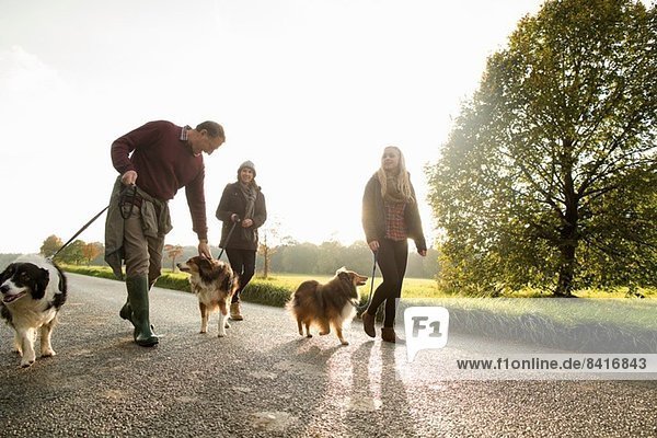 Senior Paar und Enkelin mit Hunden  Norfolk  UK