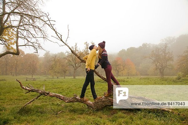 Young couple kissing on bare tree in misty park