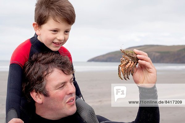 Vater hält Krabbe mit Sohn