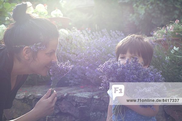 Mutter und Kleinkind Sohn riechenden Bund von Lavendel