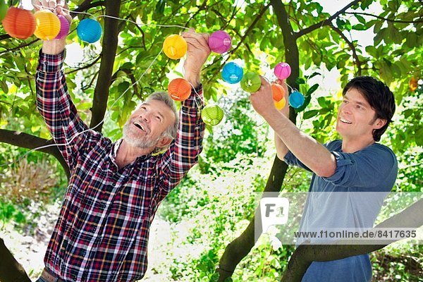 Father and adult son putting fairy lights in tree