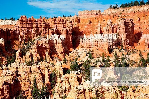 Vereinigte Staaten von Amerika  USA  Felsbrocken  folgen  Bryce Canyon Nationalpark  Schlucht  Utah