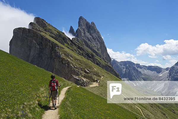 South Tirol  Italy  Europe  Dolomites  mountain landscape  mountains  scenery  nature  Grödnertal  Val Gardena  traveler  traveller  activity  active  leisure  activity  spare time  leisure  activity  hobby  person  Outdoor  sport  sporty  walk  hiking  woman  Seceda  footpath  outside  day  Trentino