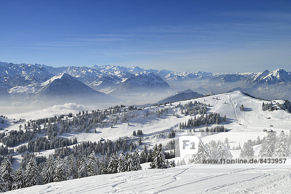 Europa Winter Alpen Ansicht Luzern Schnee Schweiz Zentralschweiz Nebelmeer