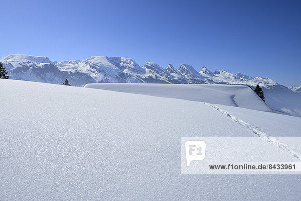 Spur Europa Berg Winter Dach Schnee Schweiz