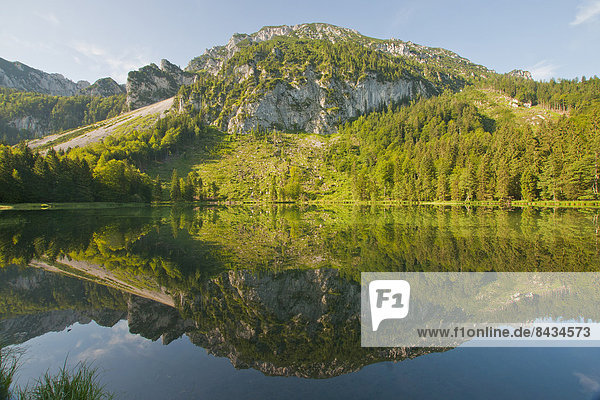 Naturschutzgebiet  Wasser  Europa  Berg  Landschaft  ruhen  Ruhe  Spiegelung  See  Natur  Stille  Alpen  Bayern  Biotop  Chiemgau  Deutschland  Rest  Überrest  Oberbayern