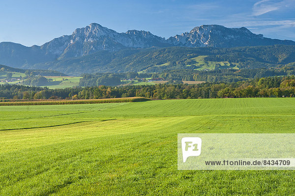 Landschaftlich schön  landschaftlich reizvoll  Europa  Berg  Baum  Himmel  Landschaft  Landwirtschaft  Feld  Wiese  Gras  Kultur  Bayern  Deutschland  Oberbayern