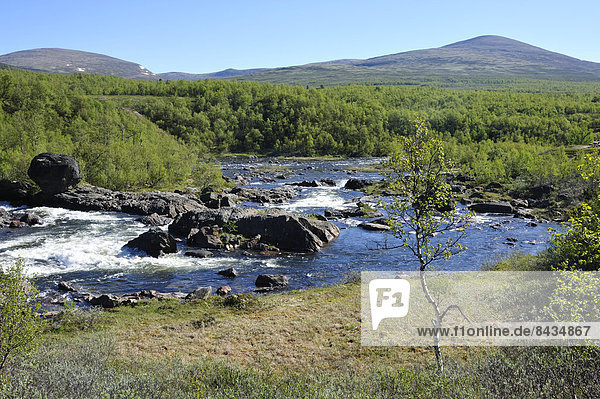 Felsbrocken  Fluss  Norwegen  Wildwasser  Hedmark