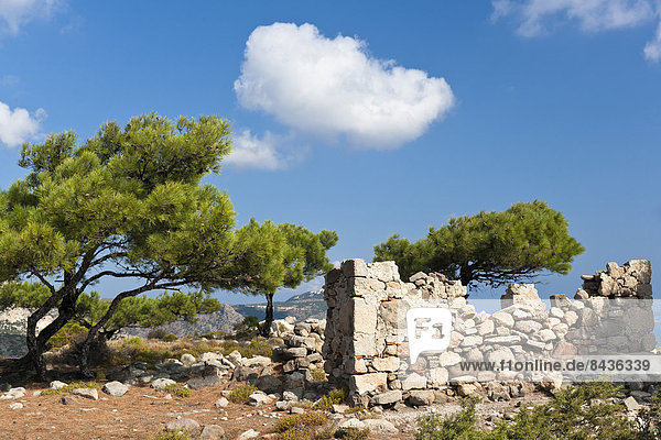 bauen überqueren Europa Wand Wolke Gebäude Meer Kirche Religion Insel blau Griechenland Ägäisches Meer Ägäis Kreuz griechisch Kos Mittelmeer Halbinsel