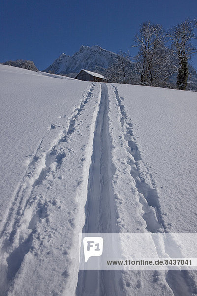 Europa Berg Winter Mythologie Spur Schnee Schweiz Zentralschweiz
