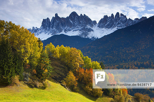 Europa Berg Tal Wald Holz Herbst Trentino Südtirol Italien