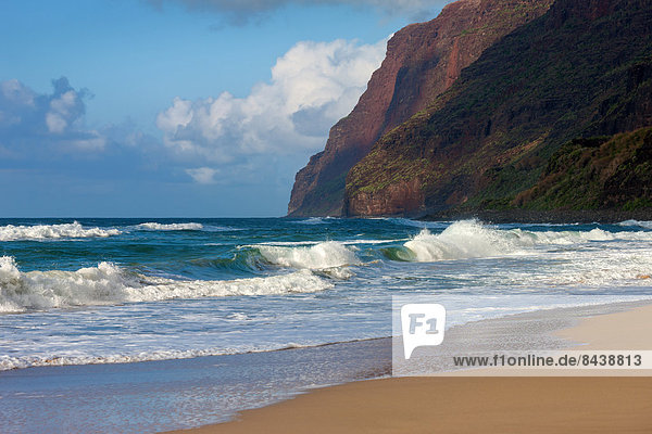 Vereinigte Staaten von Amerika  USA  Urlaub  Amerika  Strand  Küste  Wasserwelle  Welle  Reise  Meer  Pazifischer Ozean  Pazifik  Stiller Ozean  Großer Ozean  Sandstrand  Hawaii  Kauai