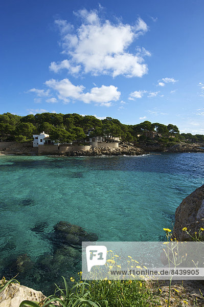 Außenaufnahme Landschaftlich schön landschaftlich reizvoll Europa Landschaft Küste niemand Meer Balearen Balearische Inseln Bucht Cala Ratjada Mallorca Mittelmeer Spanien