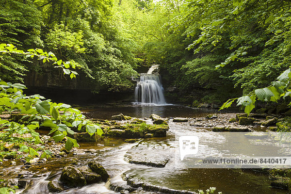 Wasserfall  England  Wensleydale