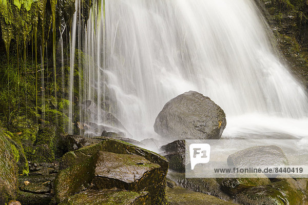Wasserfall  England  Swaledale