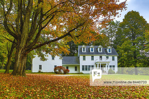Autumn  Berckshire  Lenox  Massachusetts  USA  United States  America  architecture  carpet  country side  foliage  leaves  house  landscape  leaves  red  tree