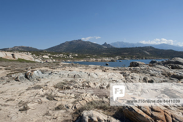 Felsbrocken  Frankreich  Europa  Steilküste  Calvi  Korsika
