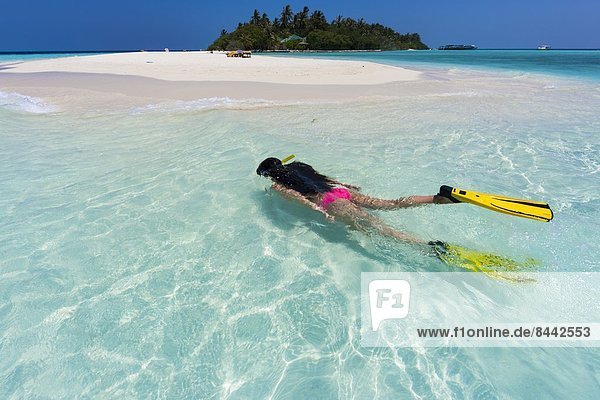 Maledives  young woman snorkelling in a lagoon