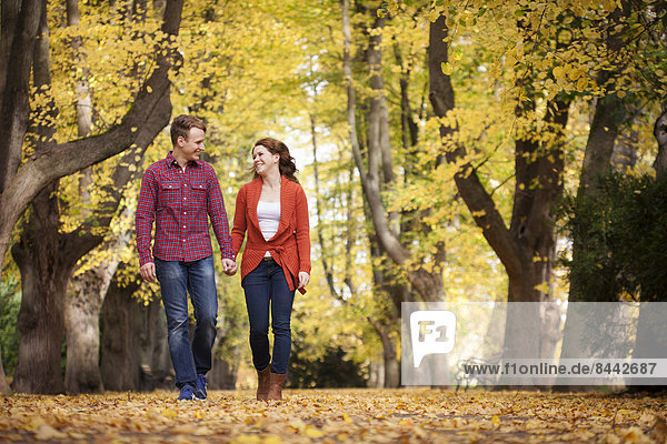 Happy young couple walking hand in hand in a park