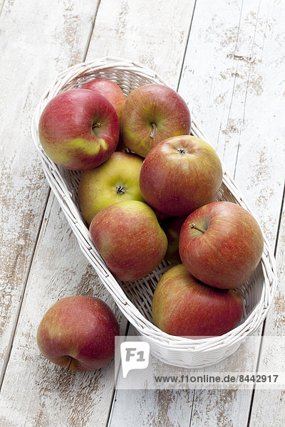 Äpfel (Malus) im weißen Korb auf Holztisch