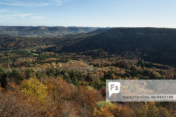Deutschland  Baden Württemberg  Landschaft  Wald im Herbst  Blick auf Albtrauf
