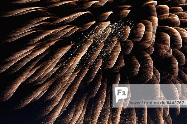 Fireworks exploding in the sky at night