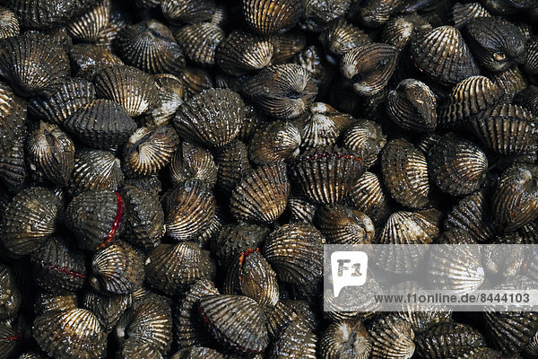 Thailand  Ratchaburi  Damnoen Saduak Floating Market  river mussels