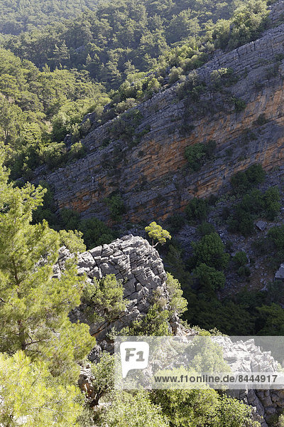 Türkei  Provinz Antalya  Alanya  Taurusgebirge  Sapadere Canyon