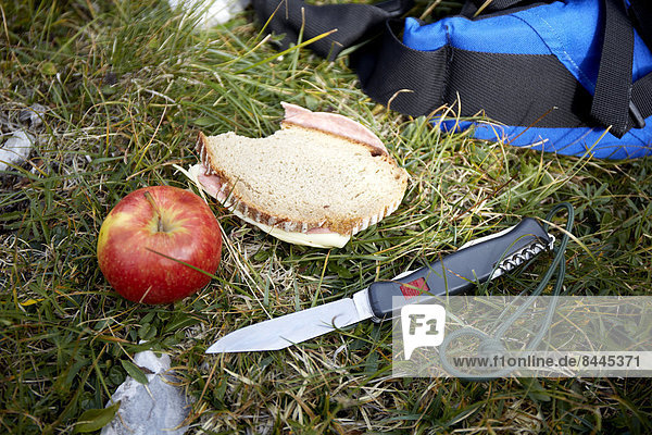 Austria  Tyrol  Karwendel mountains  Apple and bread in grass