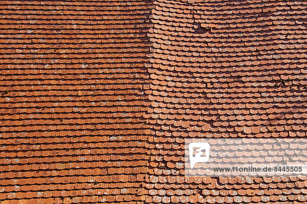 Teil eines alten Daches mit Biberschwanzziegeln