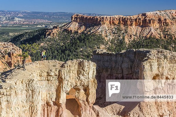 Hikers on arch rock formation in Bryce Canyon Amphitheater  Bryce Canyon National Park  Utah  United States of America  North America