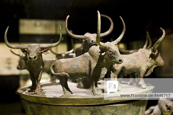 zeigen  Museum  Dekoration  China  Bronze  Container  Shanghai