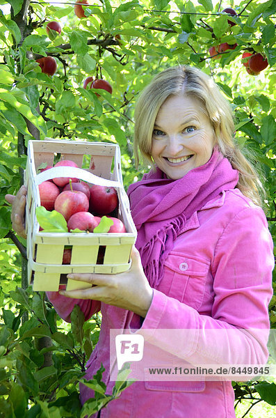 Lächelnde Frau hält einen Korb mit Äpfeln