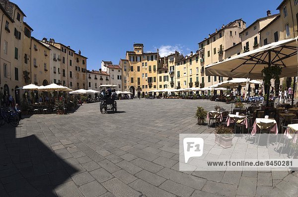Piazza Anfiteatro  Lucca  Tuscany  Italy  Europe