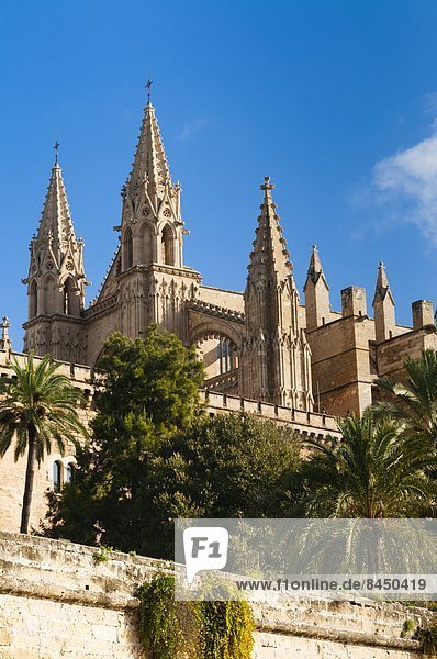 Cathedral of Santa Maria of Palma (La Seu)  Palma de Mallorca  Majorca  Balearic Islands  Spain  Europe