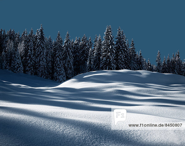 Winterlandschaft  Garmisch  Bayern  Deutschland