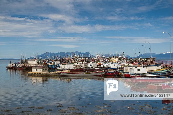 Many little boats in the harbour of Puerto Natales  Patagonia  Chile  South America