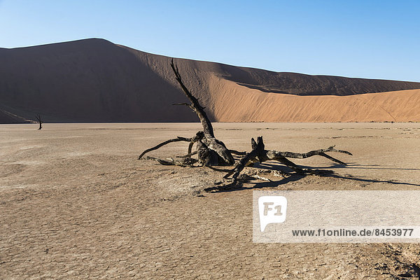 Namibia Namib Lehm Speisesalz Salz Sossusvlei