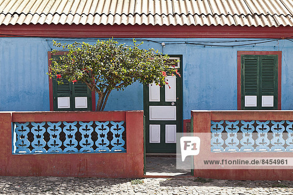 Blume Wohnhaus Baum bunt Kap Verde Kapverden Kapverdische Inseln Hibiskus