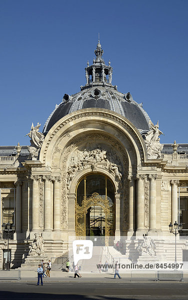Das Petit Palais  Paris  Île-de-France  Frankreich
