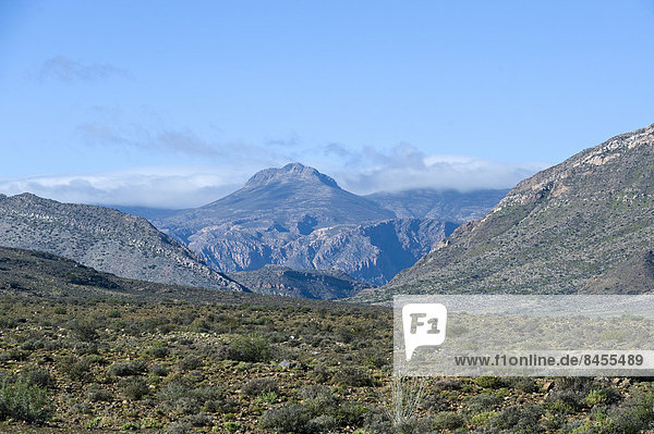 Karoo vegetation  mountains and house  Prince Albert  Western Cape  South Africa