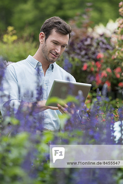 Eine Bio-Blumenpflanzengärtnerei. Ein Mann arbeitet mit einem digitalen Tablett.