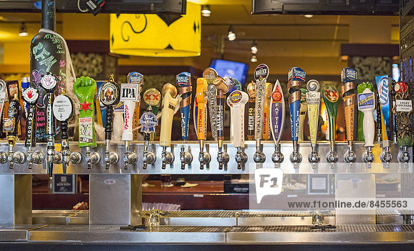 Beer on tap at Bar Louie at the Holiday Inn O'Hare  Chicago  Illinois  United States