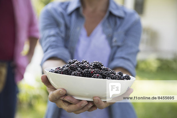 A family summer gathering at a farm. A shared meal  a homecoming.