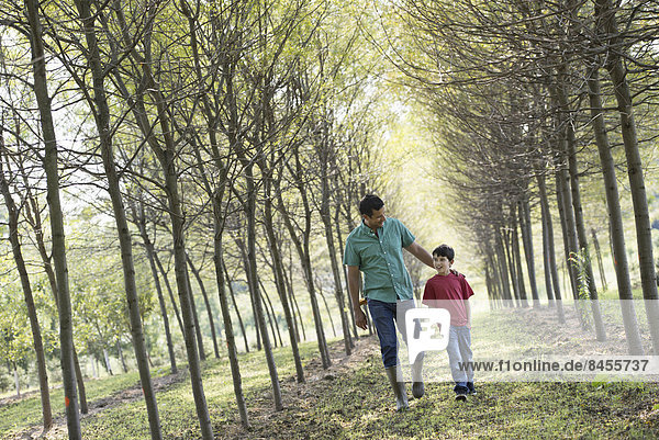 A man and a young boy walking down an avenue of trees.