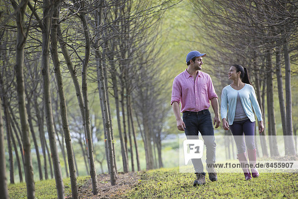 A couple walking between two rows of trees.