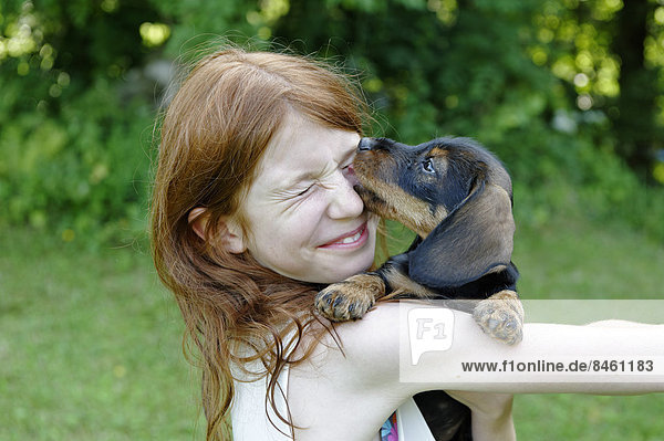 Girl holding a puppy  Wire-haired Dachshund  Germany