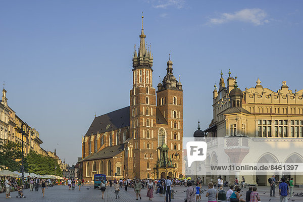 Gotische Marienkirche  Stare Miasto Altstadt  Krakau  Woiwodschaft Kleinpolen  Polen