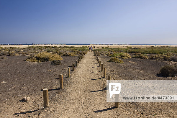 Strand von Jandia Playa  Jandia  Fuerteventura  Kanarische Inseln  Spanien